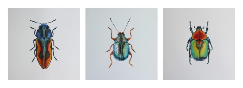 Glowing Jewel Beetle - Image 3