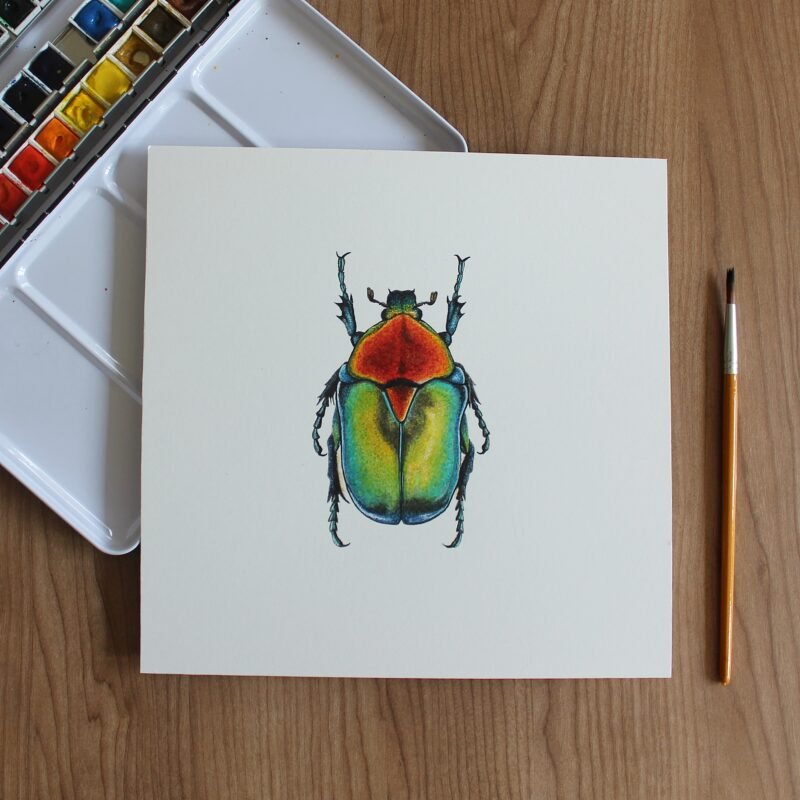 Turkish Flower Beetle - Image 2