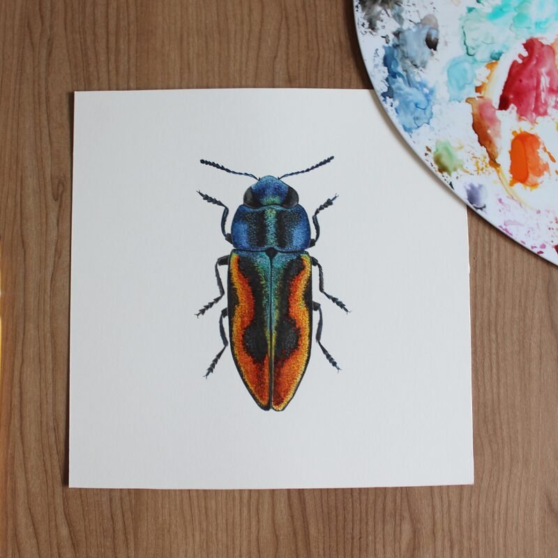 Glowing Jewel Beetle - Image 2