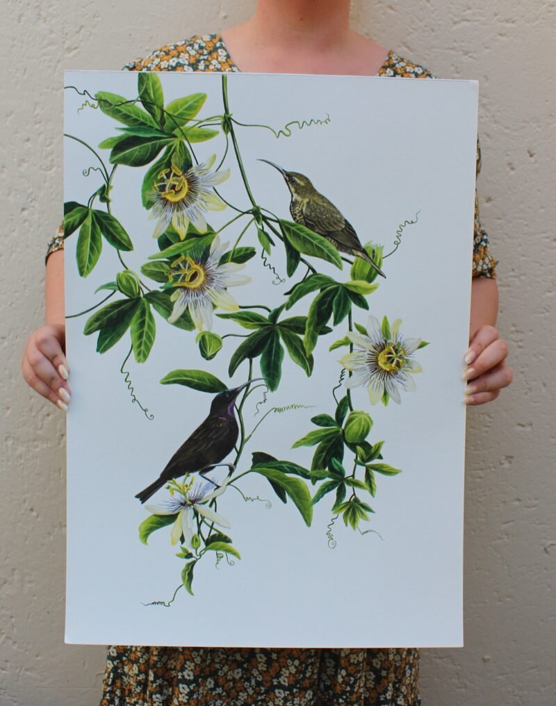 Amethyst Sunbirds & Passion Flowers - Image 3