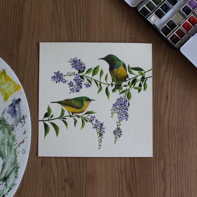 Collared Sunbirds and Duranta - Image 3