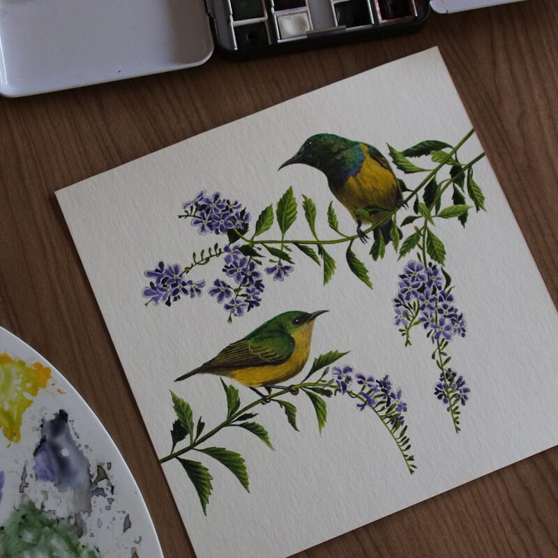 Collared Sunbirds and Duranta - Image 2