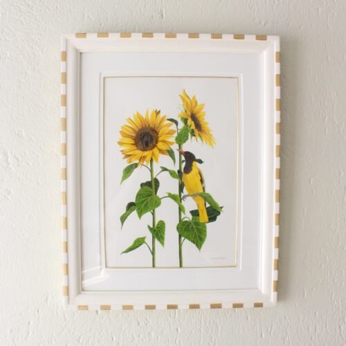 Black-Hooded Oriole and Sunflowers (Framed)