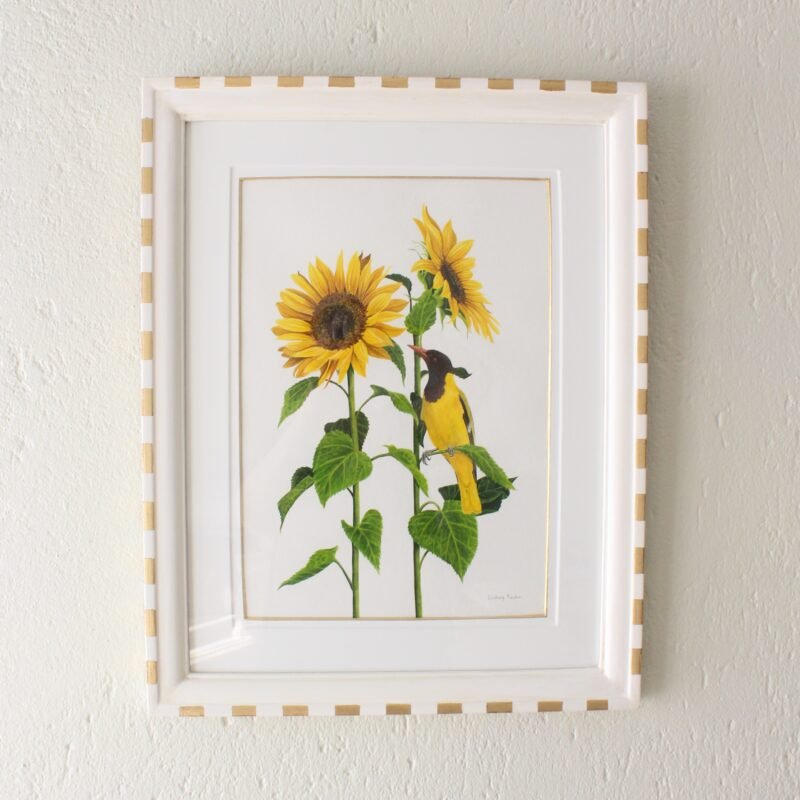 Black-Hooded Oriole and Sunflowers (Framed)