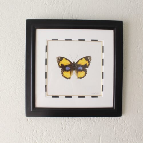 Yellow Pansy (Framed)