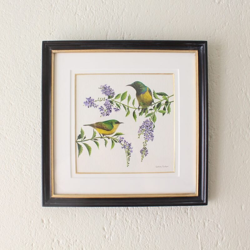 Collared Sunbirds and Duranta (Framed)