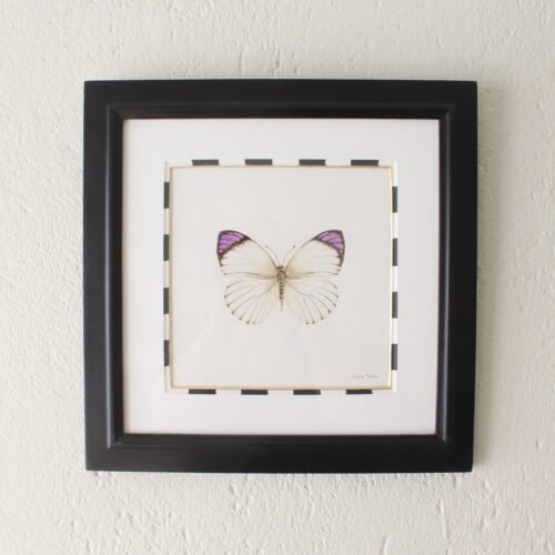 Bushveld Purple Tip (Framed)