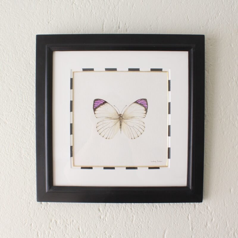 Bushveld Purple Tip (Framed)