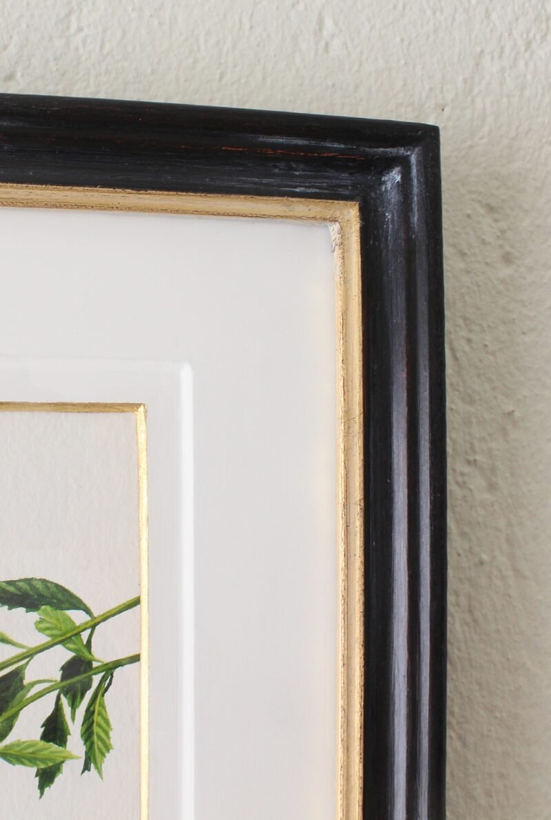 Collared Sunbirds and Duranta (Framed) - Image 2