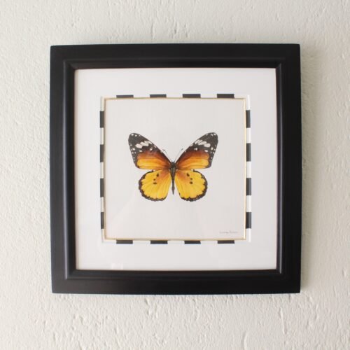 African Monarch (Framed)