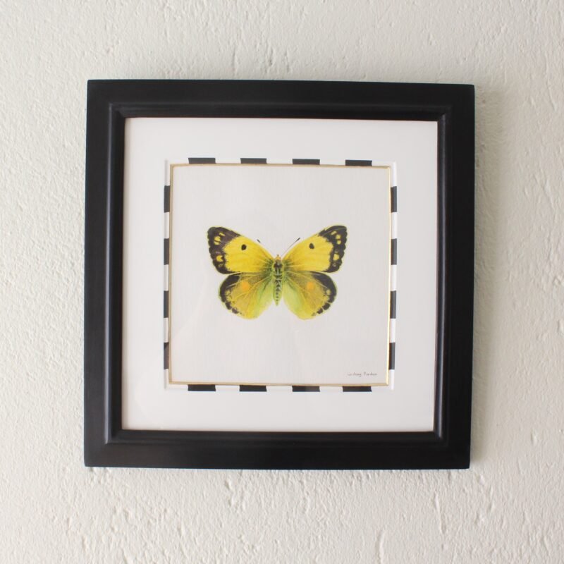 Clouded Yellow (Framed)