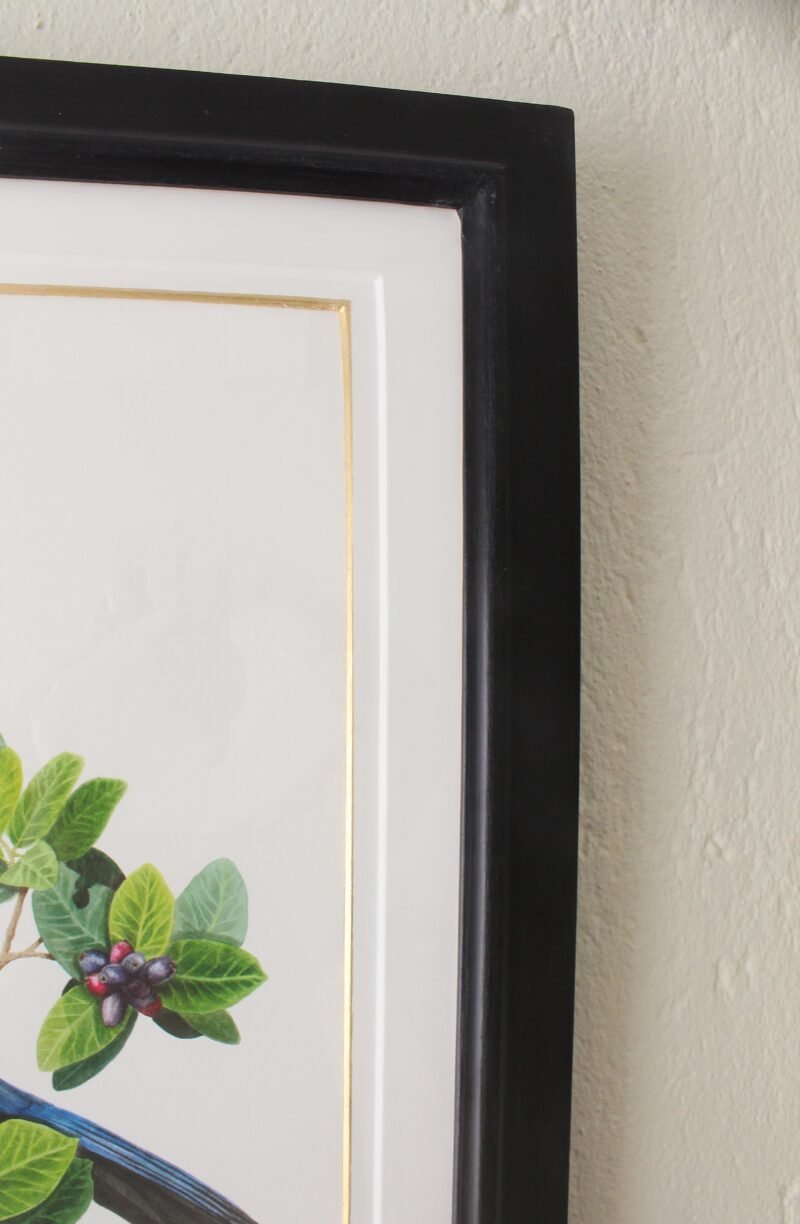 Purple-Crested Turaco and Waterberry Print (Framed) - Image 2