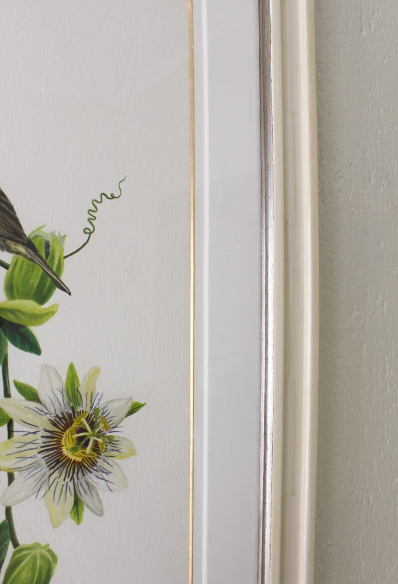 Amethyst Sunbirds and Passion Flower (Framed) - Image 3