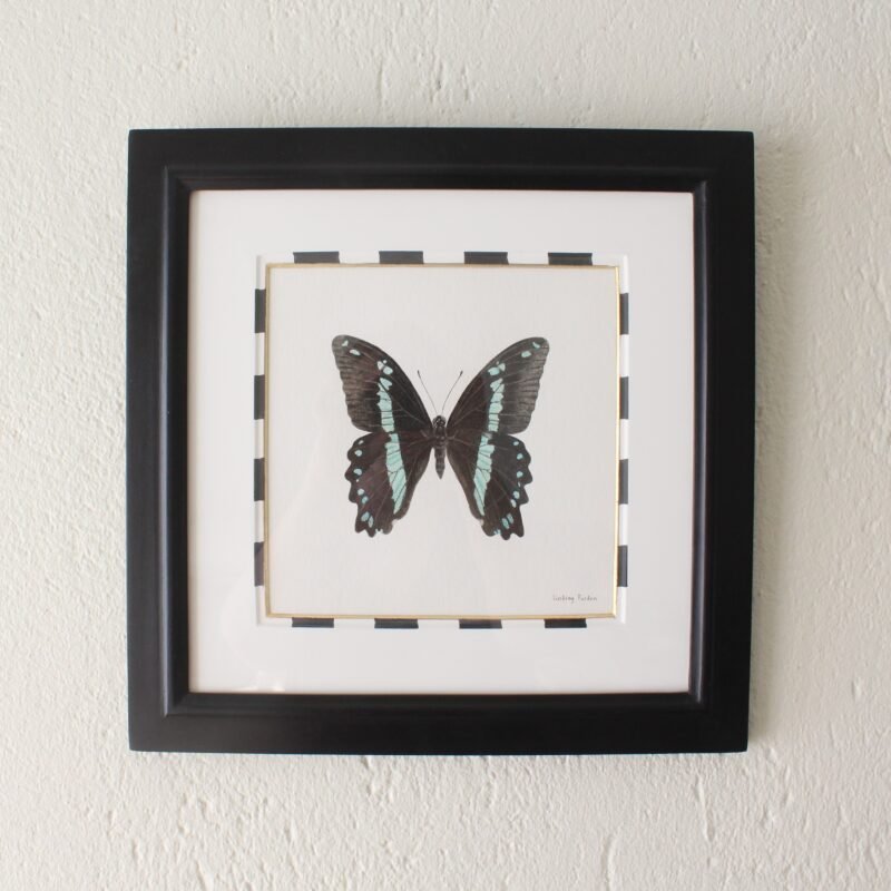 Green-Banded Swallowtail (Framed)