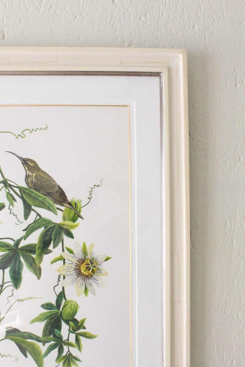 Amethyst Sunbirds and Passion Flower (Framed) - Image 2