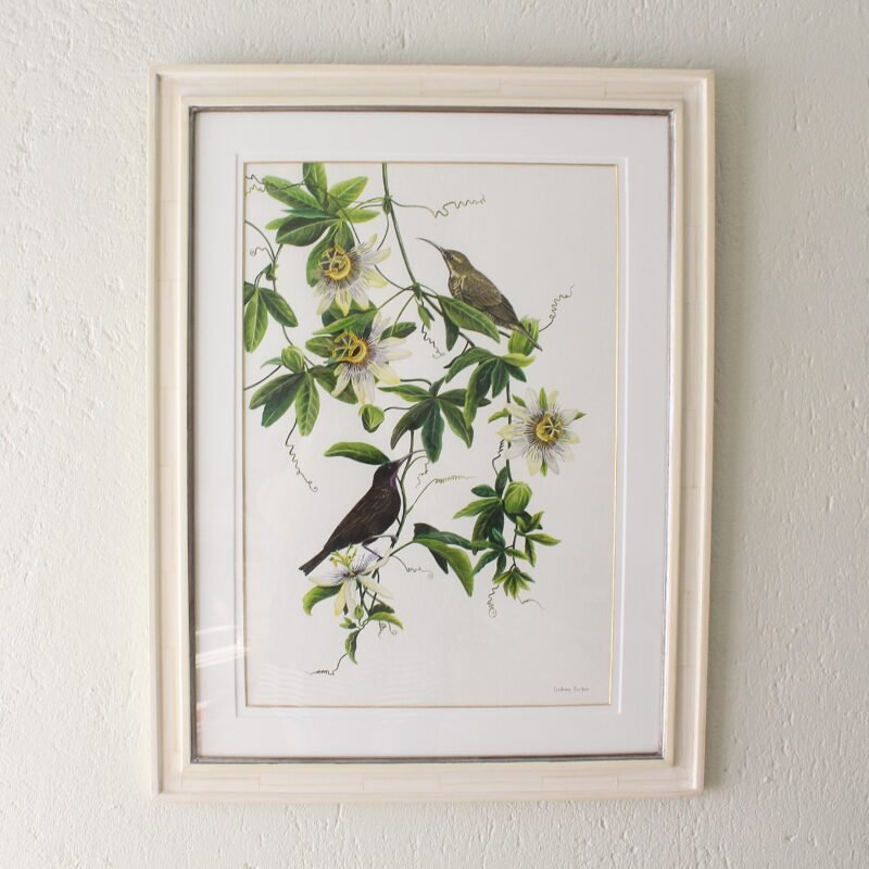 Amethyst Sunbirds and Passion Flower (Framed)