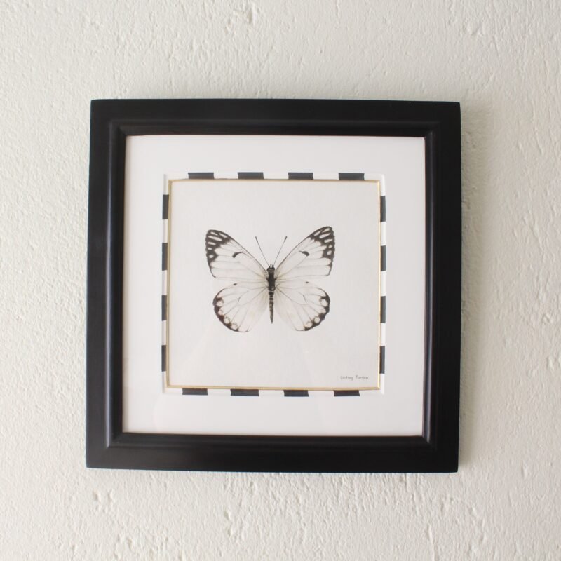 Caper White (Framed)