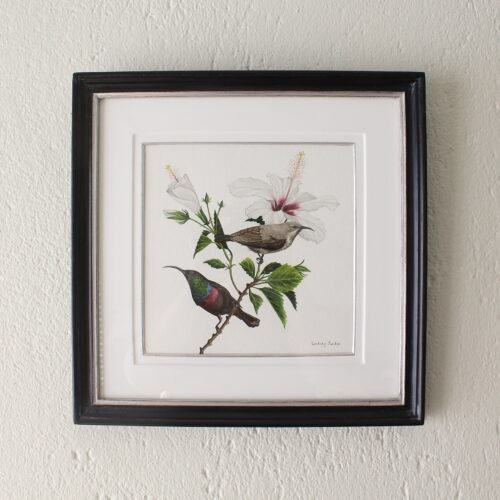 Marico Sunbirds and Hibiscus (Framed)