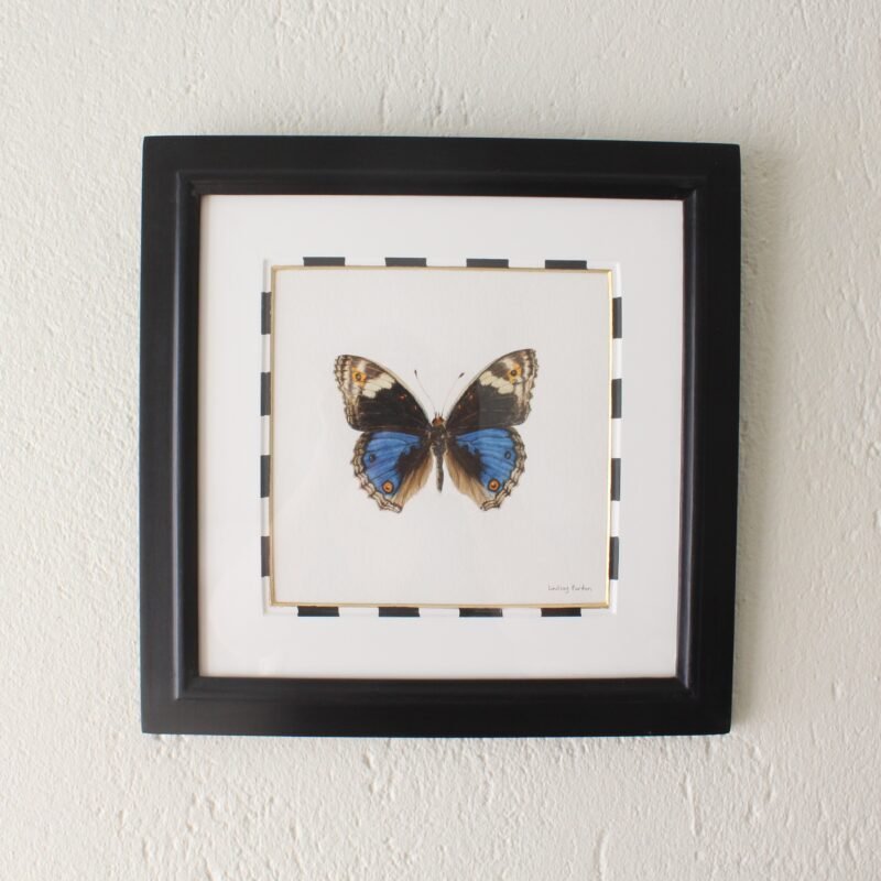 Blue Pansy (Framed)