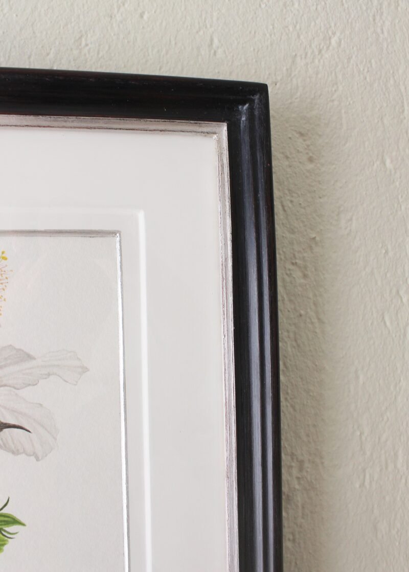 Marico Sunbirds and Hibiscus (Framed) - Image 2