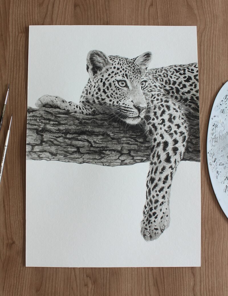 Leopard - Image 2