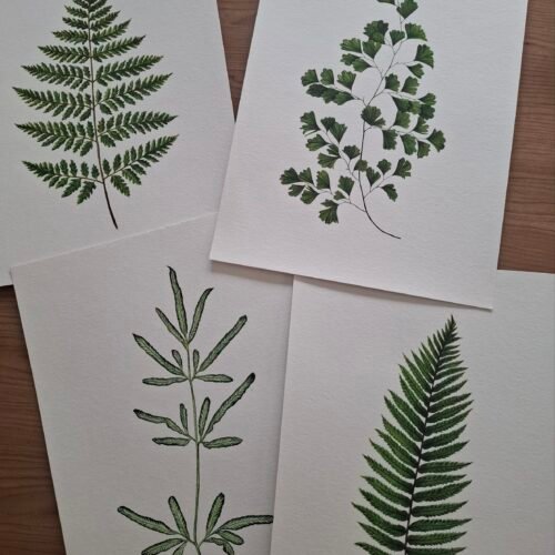 4 x Fern Prints